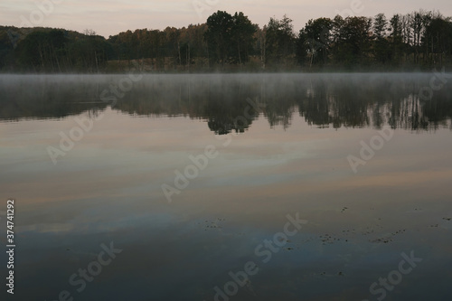 fog on a lake surrounded by trees