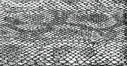 Snakeskin pattern imitation. Lines and spots structural texture. Cool and artsy faux leather background. Abstract vector illustration. Black isolated on white. EPS10