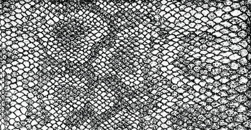 Snakeskin pattern imitation. Lines and spots structural texture. Cool and artsy faux leather background. Abstract vector illustration. Black isolated on white. EPS10