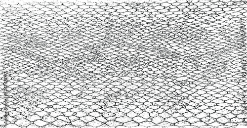 Snakeskin pattern imitation. Lines and spots structural texture. Cool and artsy faux leather background. Abstract vector illustration. Black isolated on white. EPS10