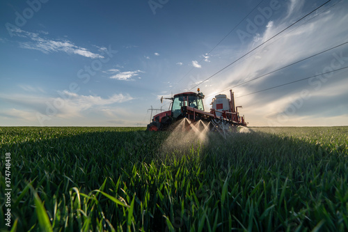 Quadro su tela Tractor spraying wheat in field