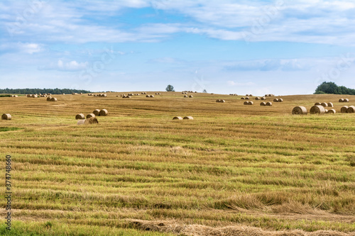 Round bales of hay on farmland with blue cloudy sky