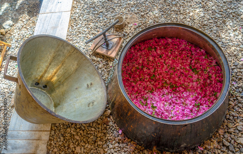 Iran, in a small village near Kashan during the festival of roses. A distillation pot filled with rose leafs for the destination process.  photo