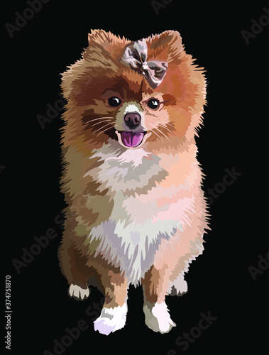 Pomeranian dog pet whole body portrait  vector drawing illustration isolated on black background.Spitz puppy.Best friend.