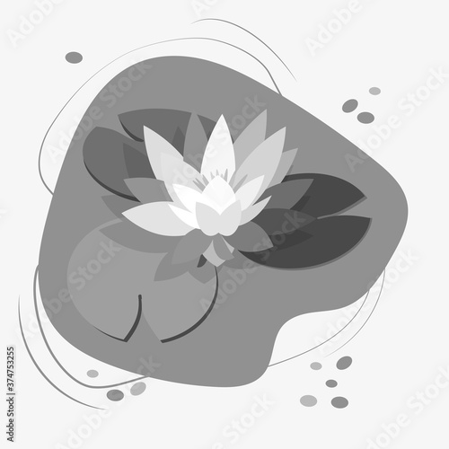 Lotus flower and leaves, water lily, white water lily. Black silhouette on white background. Vector illustration for botanical collection design.