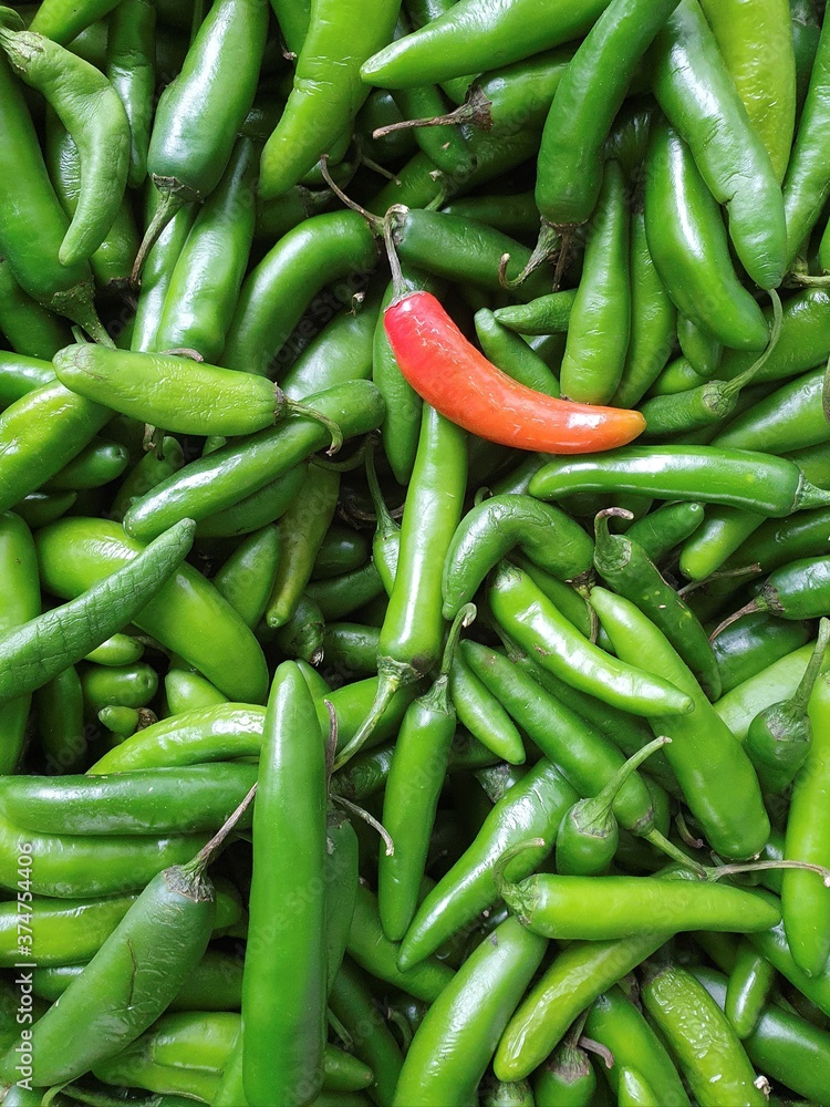 fresh spicy peppers of natural origin to prepare mexican food fresh spicy peppers of natural origin to prepare mexican food