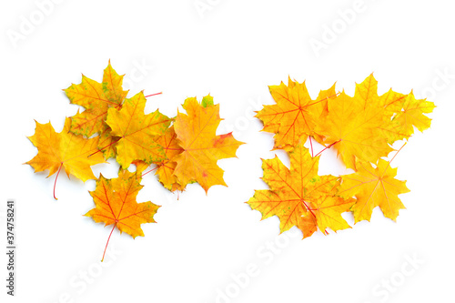 Two heap of colorful autumn maple leaves on white background