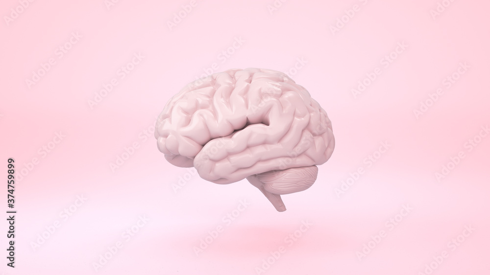Pink brain in view front on minimal background. 3d rendering. Pink brain in view front on minimal background. 3d rendering.