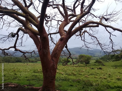 Camino a Punta Roca Partida, Veracruz, México