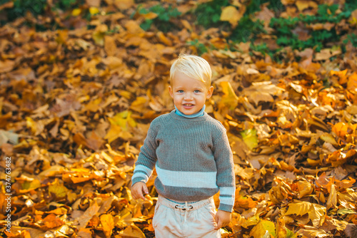 Autumn kid  cute child with fallen leaves in autumn park. Cute child in warm jacket sweater on the autumn nature background.