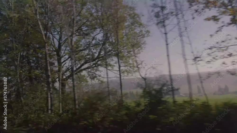 Switzerland - September 19, 2019 Trees on the road side landscape filmed from car while driving on rural swiss countryside roads on a summer day. Switzerland - September 19, 2019 Trees on the road side landscape filmed from car while driving on rural swiss countryside roads on a summer day.