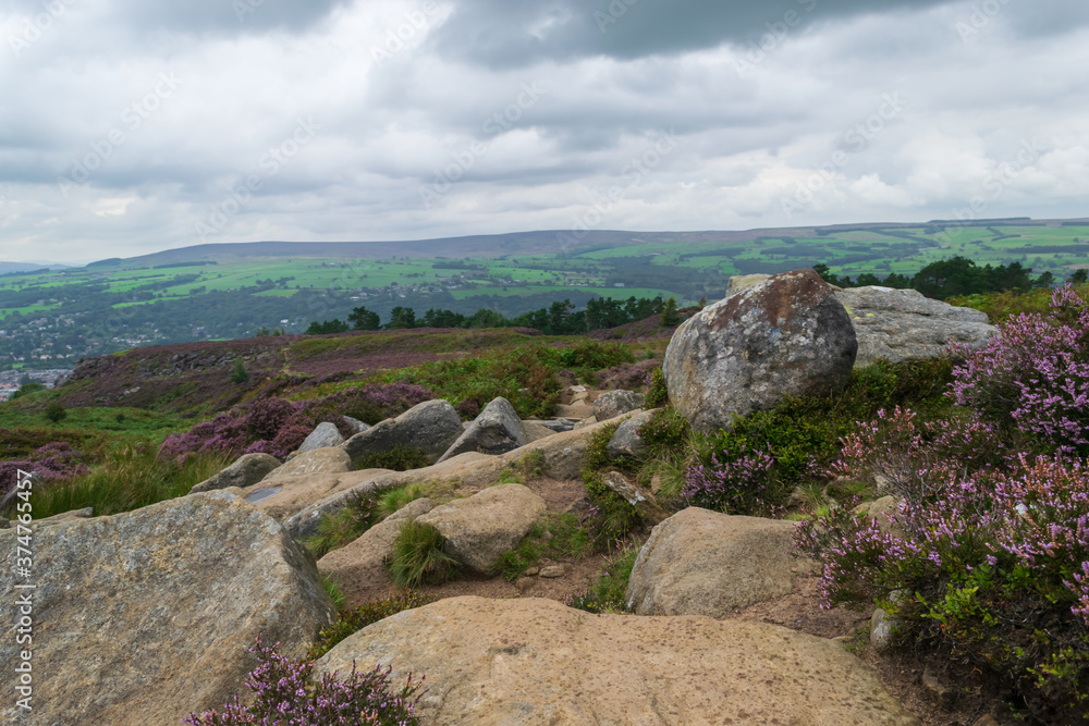 landscape with rocks