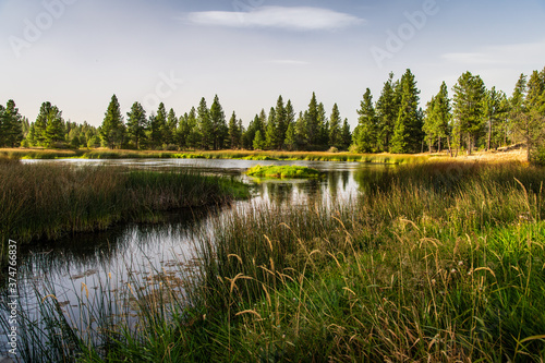Swan Pond At Turnbull National Wildlife Refuge
