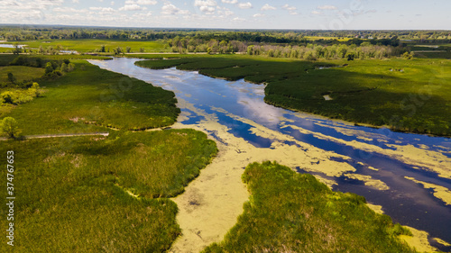 Distant aerial view of a wetland and forest in summer © wayker