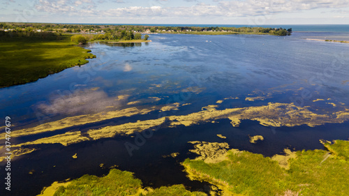 Distant aerial view of a wetland and forest in summer