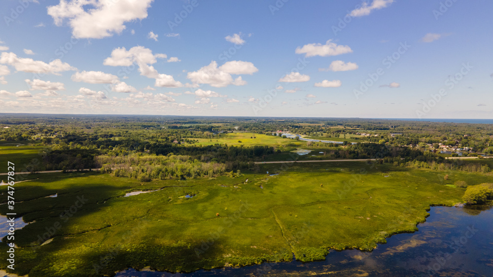 Distant aerial view of a wetland and forest in summer