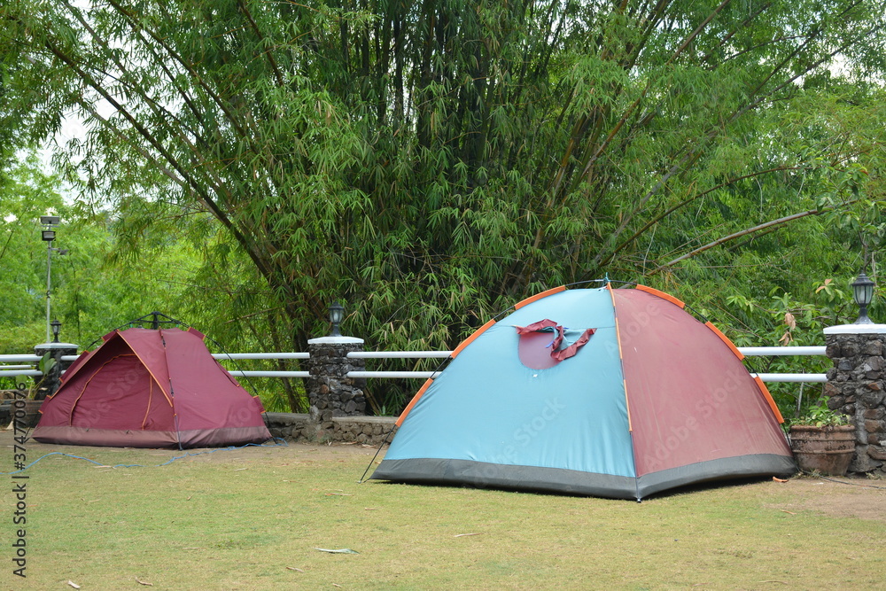 Tent camping setup in the grass field