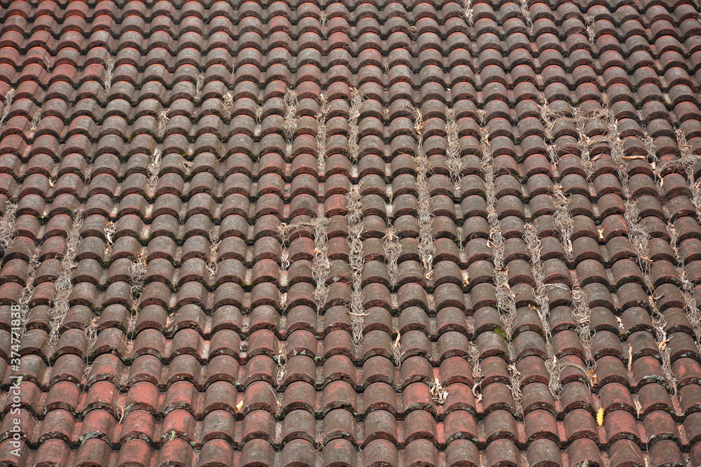 Curve roof tiles of house covered with green algae background Curve roof tiles of house covered with green algae background