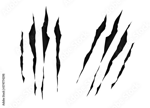 Claws  scratches isolated on white background. Print claw marks, tiger, bear or monster. Scratches, horror concept. Claws marks of a monster or wild beast. Vector illustration