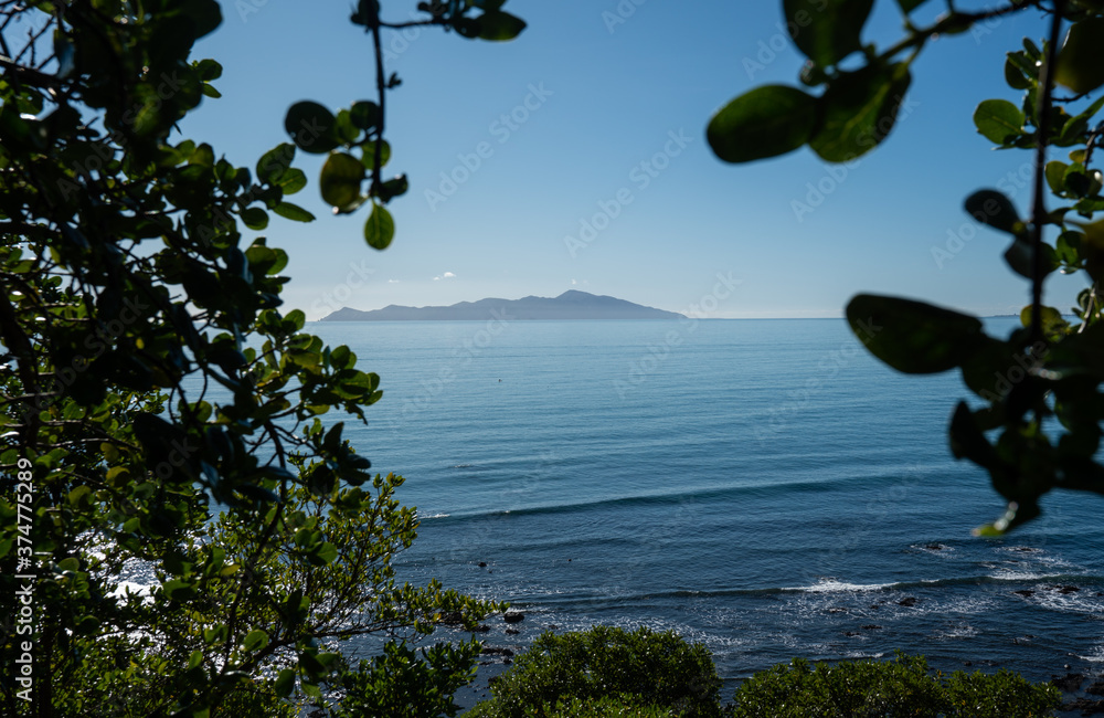 View of Kapiti Island through foliage on the coast near Wellington New Zealand on a sunny day