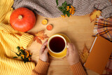 female hands holding a cup of hot tea or coffee, autumn flat in the Scandinavian hugg style, with yellow leaves, cozy knitwear, pumpkin and berries