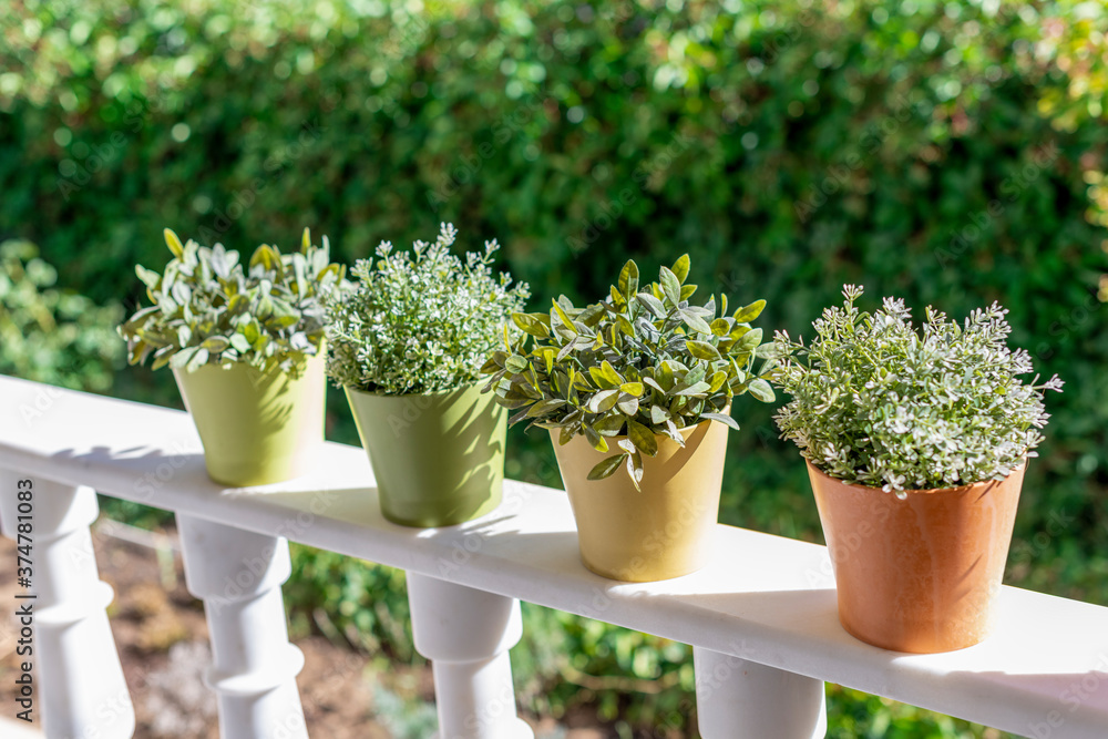 Flower pots on a old style marble balcony railing. Copy space.