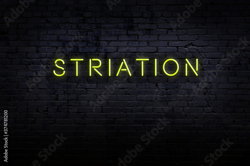 Night view of neon sign on brick wall with inscription striation photo