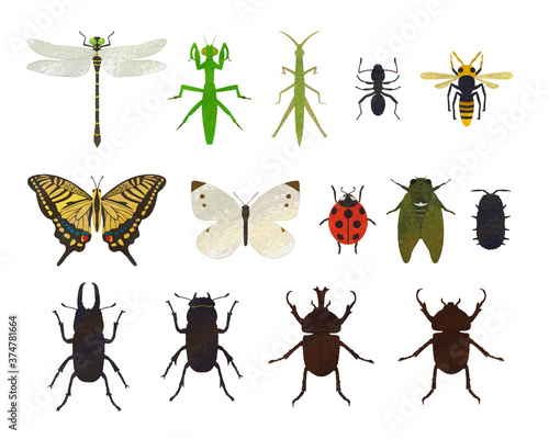 Insect illustration set material / analog style © enra