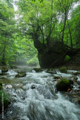 《秋田県・五城目町》ネコバリ岩