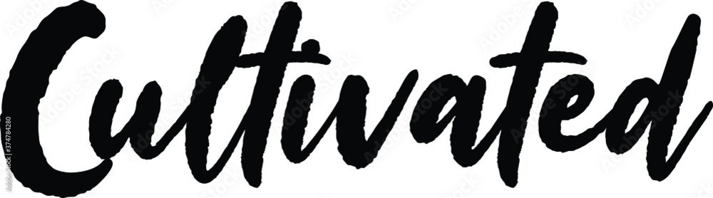 Positive Traits Synonyms text. Only one single word. Printable graphic tee. Design doodle for print. Vector illustration. Colorful. Hand drawn calligraphy style. Black and white