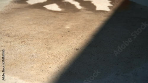Timelapse of Water Drying on Hot Sidewalk