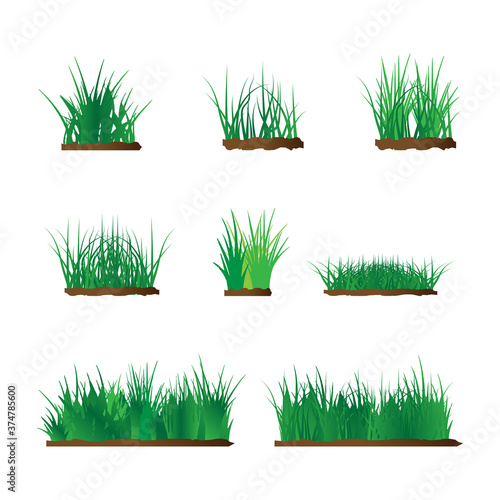 set of green grass