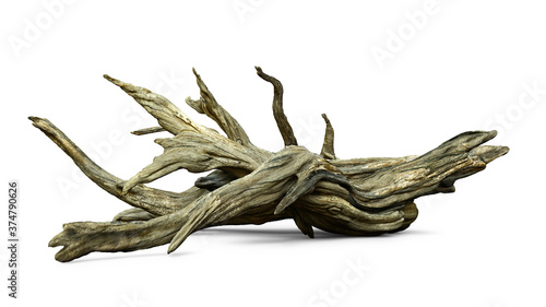 driftwood isolated on white background, aged branches