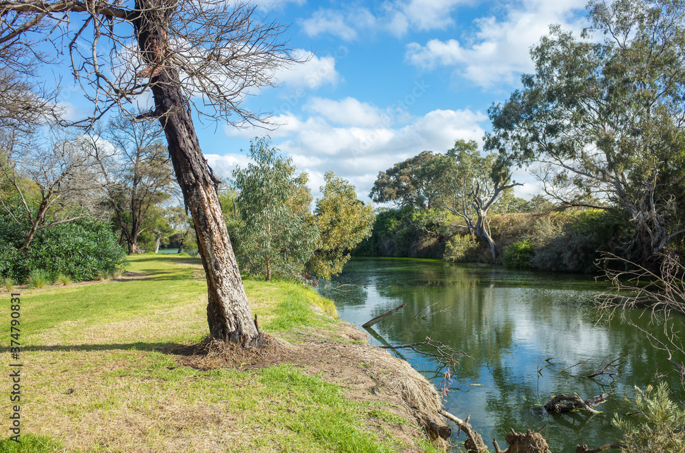 Beautiful nature environment at the riverbank of Werribee River.  View of a suburban local park with Australian nature landscape of native trees and waterway. Melbourne, VIC Austra