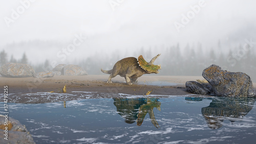 Triceratops horridus, dinosaur on the beach © dottedyeti