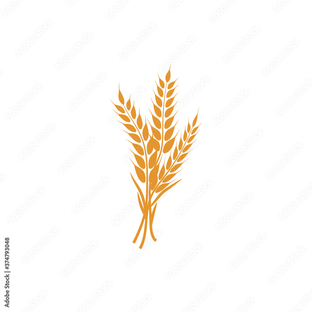 Wheat Logo Template vector symbol Wheat Logo Template vector symbol