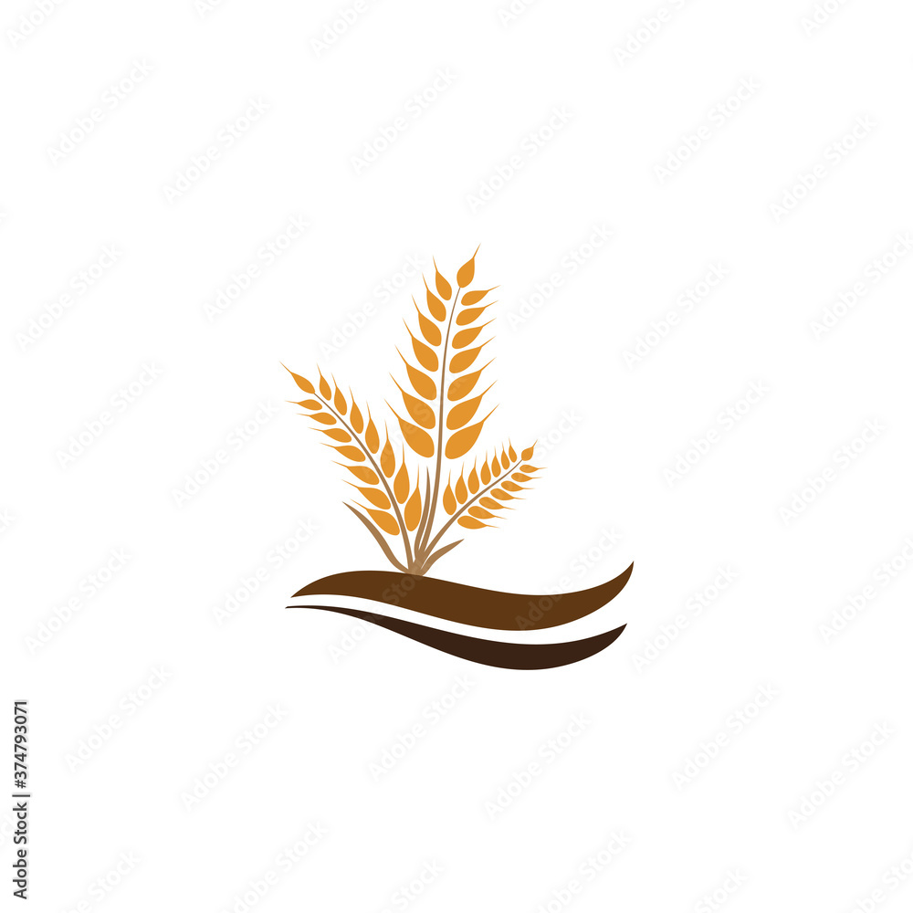 Wheat Logo Template vector symbol Wheat Logo Template vector symbol
