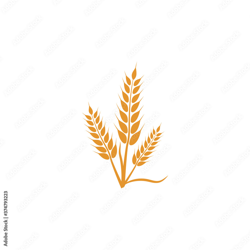 Wheat Logo Template vector symbol Wheat Logo Template vector symbol