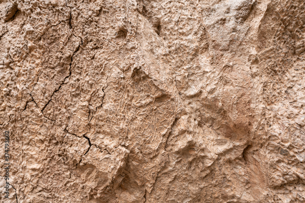 Texture and background of earth and stone