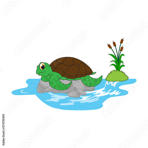 Fototapeta Naklejka Na Ścianę i Meble -  illustration vector graphic of cute  turtle animal character cartoon isolated, perfect for cover, book, birthday card, gift card, wrap paper, sticker, t-shirt, memo, decoration