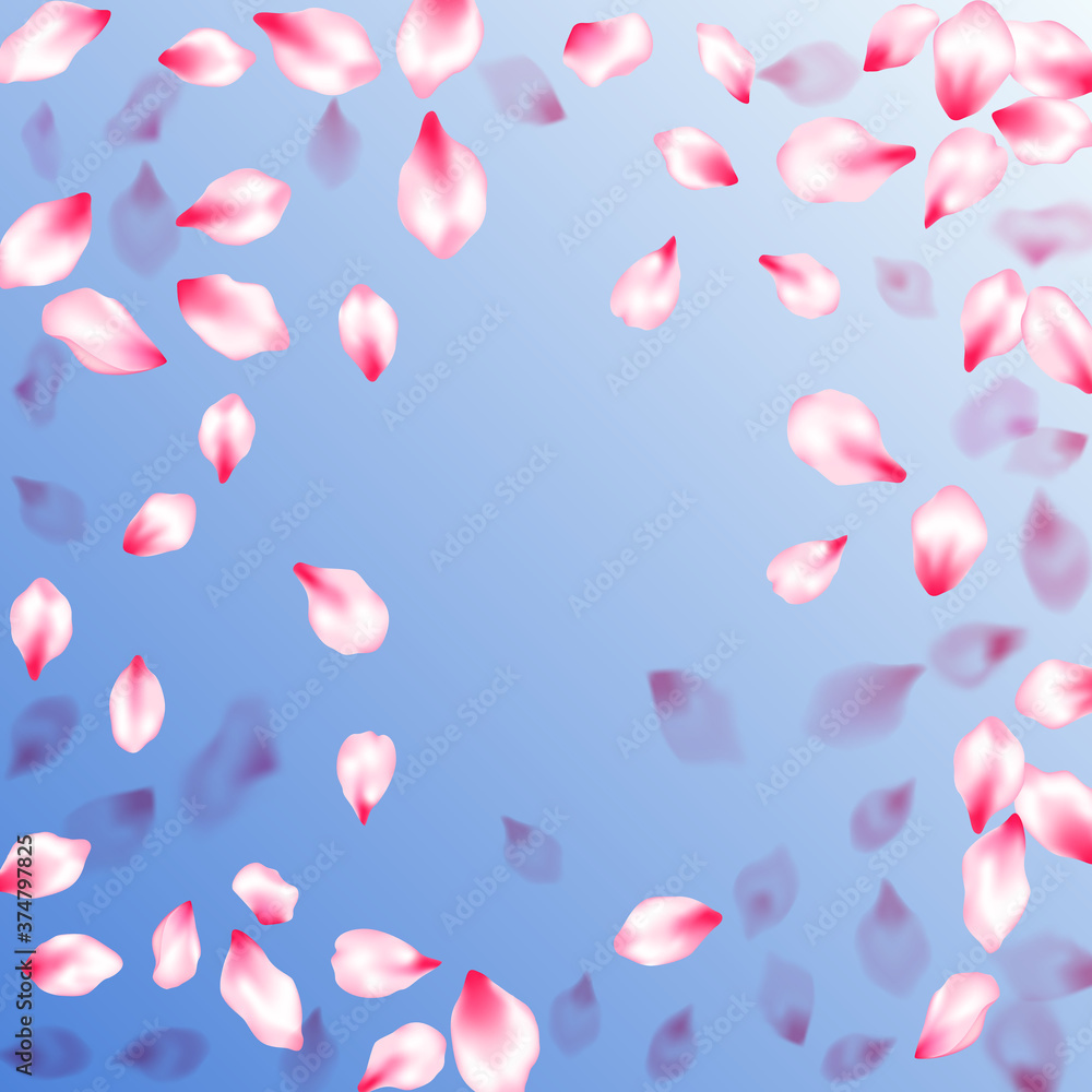 Pink sakura petals confetti flying and falling Pink sakura petals confetti flying and falling