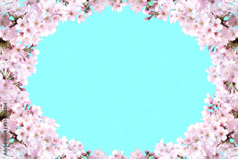 桜の花のフレーム画像 桜の花のフレーム画像