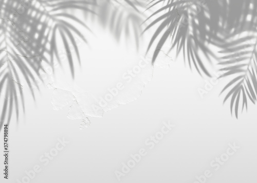 White gray grunge cement texture wall leaf plant shadow background.Summer tropical travel beach with minimal concept. Flat lay palm nature .