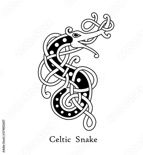 Celtic style tribal pattern on black and white color. Use it for package, logo or poster design.