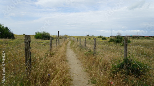  The bushes leading to the sea