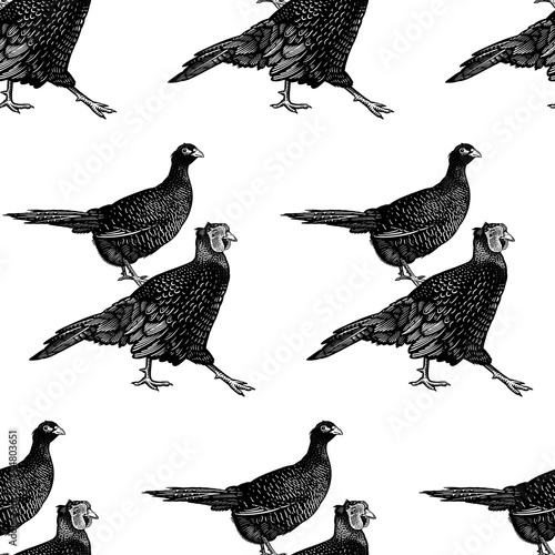 Seamless pattern with pheasant. Decorative background.