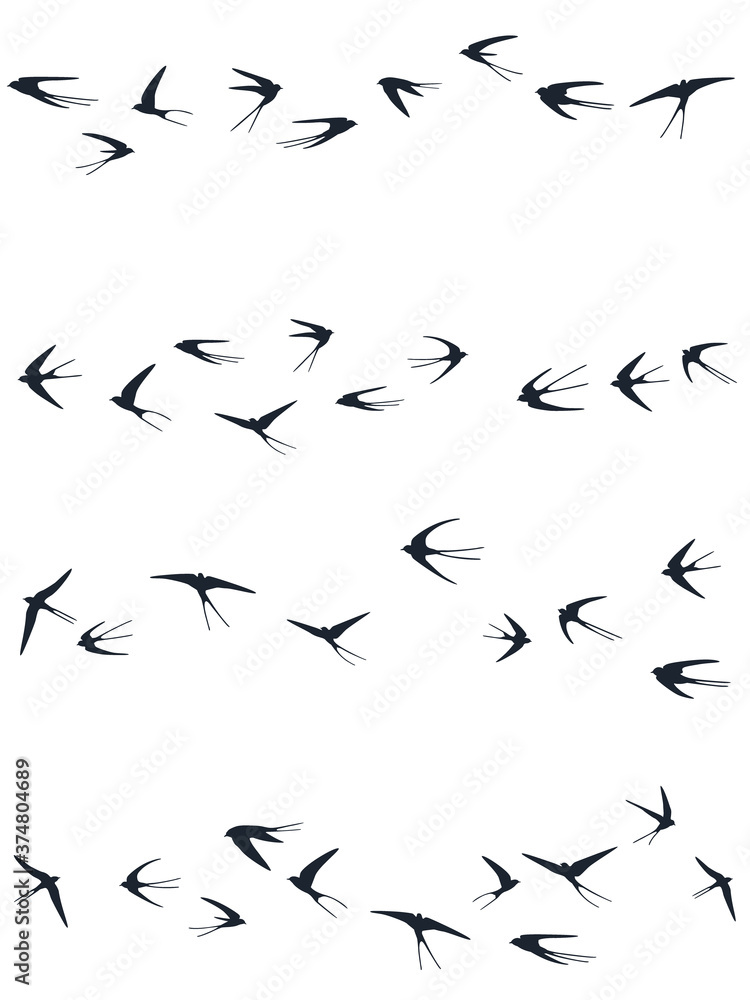 Flying swallow birds silhouettes vector illustration. Nomadic martlets flock isolated on white. Flying swallow birds silhouettes vector illustration. Nomadic martlets flock isolated on white.