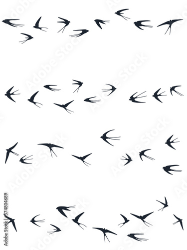 Flying swallow birds silhouettes vector illustration. Nomadic martlets flock isolated on white. 