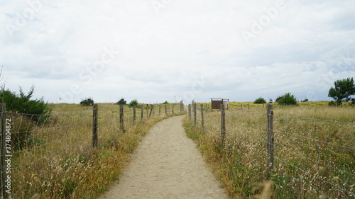  The bushes leading to the sea