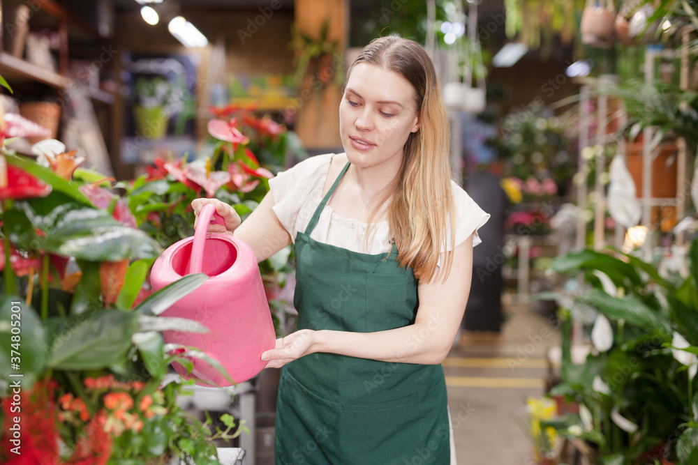 Professional woman florist watering flowers from a plastic watering can in floral shop. High quality photo